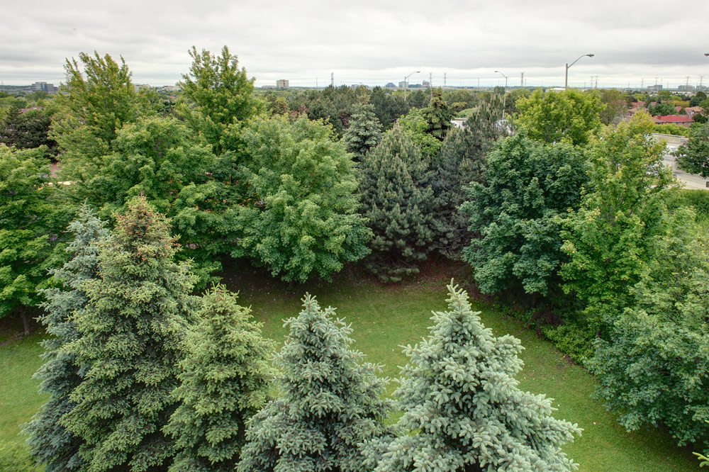 Actual View from Balcony